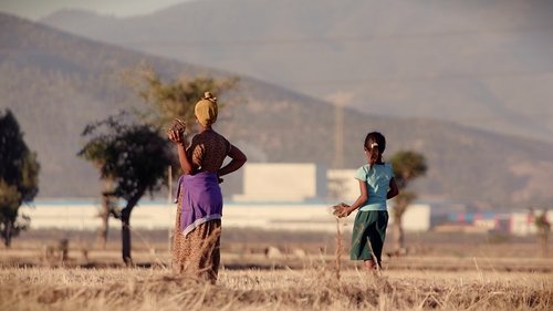 Made in Ethiopia image 3