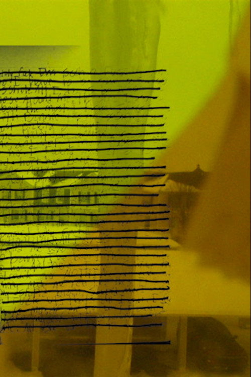 The System Only Dreams in Total Darkness