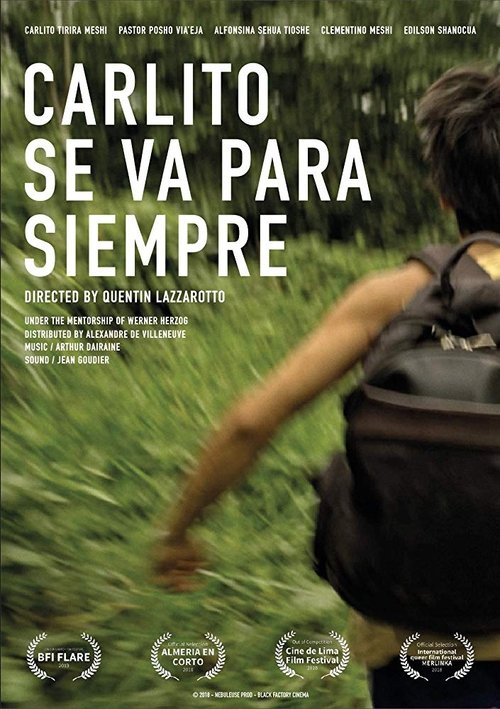 Carlito se va para siempre movie poster player