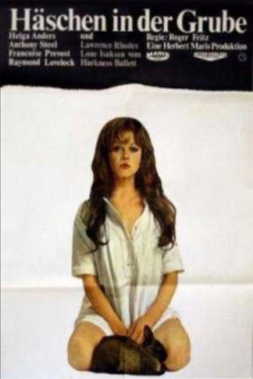 Rabbit in the Pit poster