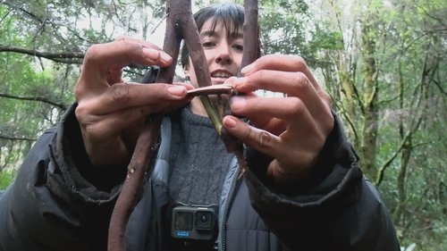 Épisode 4