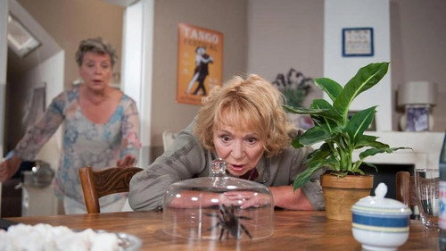 Folge 2027 - Der Spinnenbiss