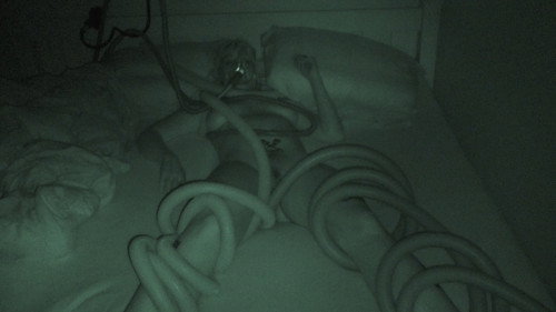 Sumptuous Summer 2019