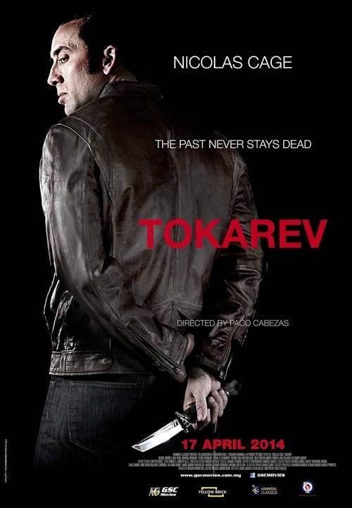 Tokarev 2014