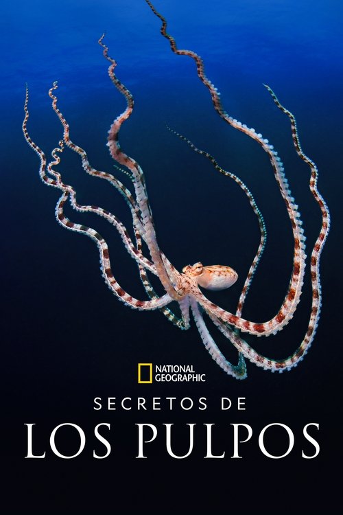 Ver temporada 1 de Los secretos de los pulpos Póster de la temporada 1 de la serie Los secretos de los pulpos