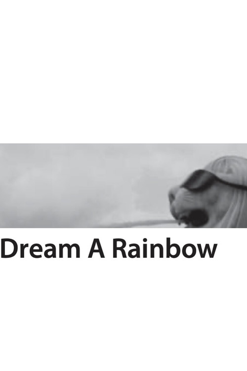 Dream A Rainbow