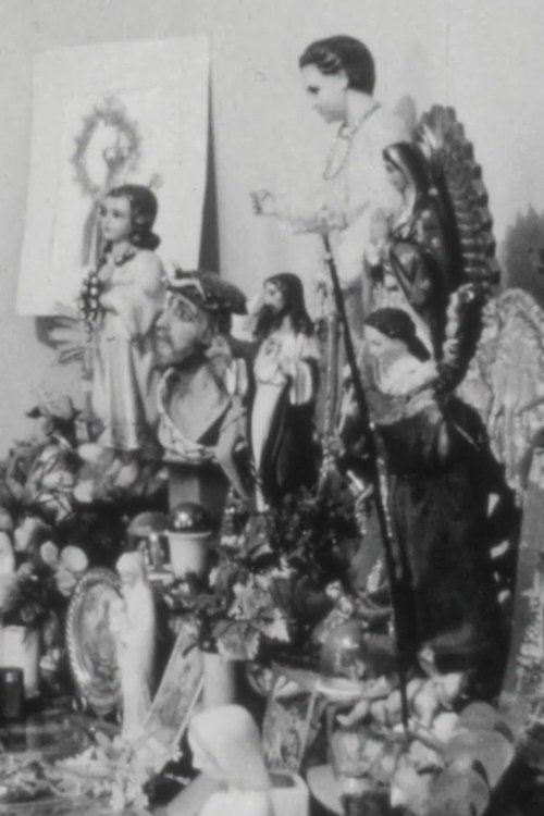 Mi Raza: Portrait of a Family