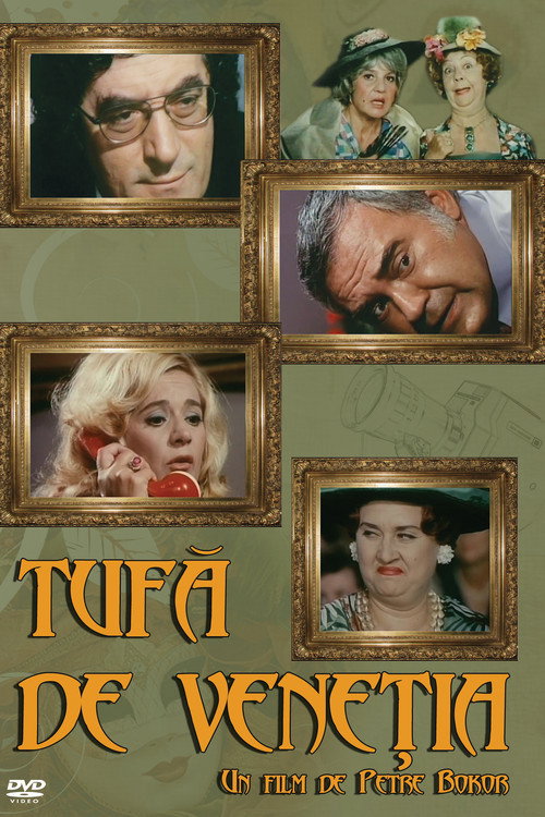 Watch Tufă de Veneția (1977) online free