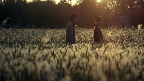 The Wheat