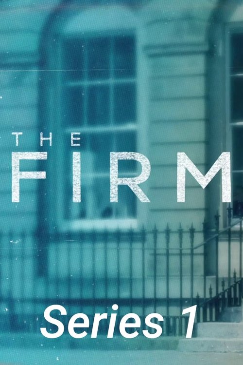 The Firm - Saison 1