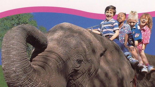 Kidsongs: A Day with the Animals Backdrop Blur
