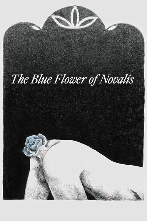 The Blue Flower of Novalis poster