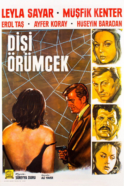 Dişi Örümcek poster