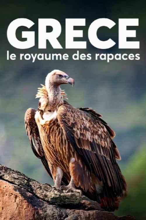 The World of Birds of Prey – Right to Survival poster