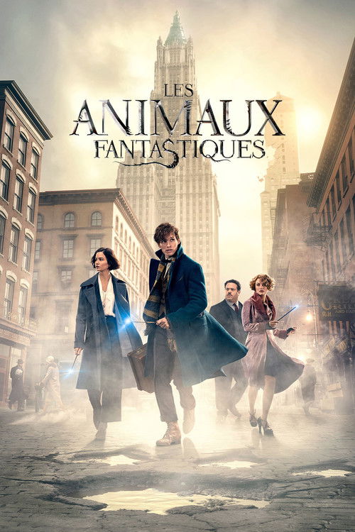 Les Animaux Fantastiques Saga The Movie Database Tmdb
