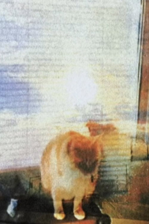 Poster de Sunday