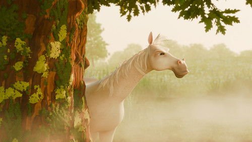 Jaquette Arklio Dominyko kelionė į žvaigždes