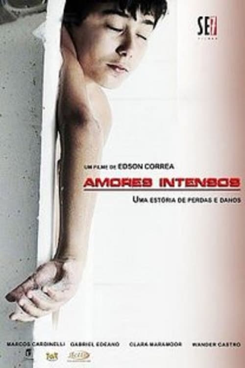 Amores Intensos 2011