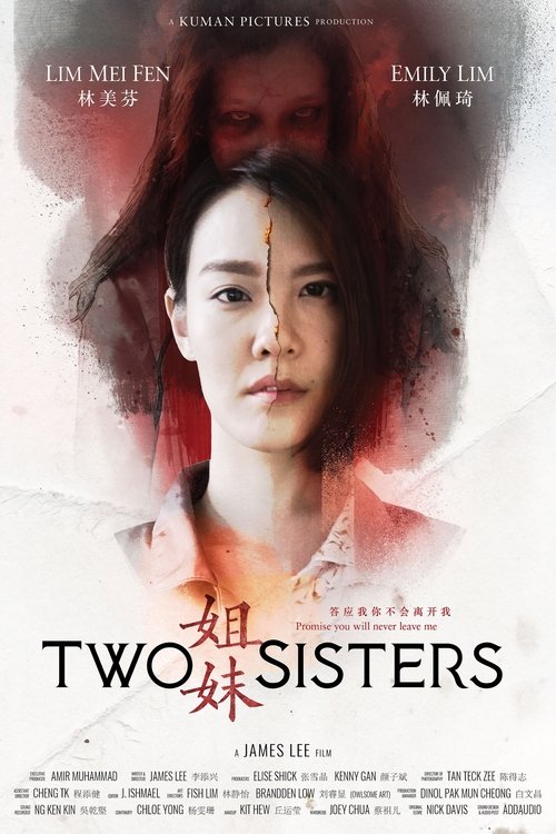 姐妹 movie poster player