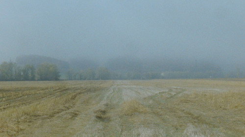 Newsreel 670 – Red Forests