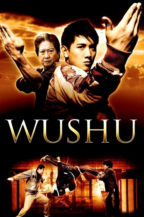 Poster image du film Wushu Wushu