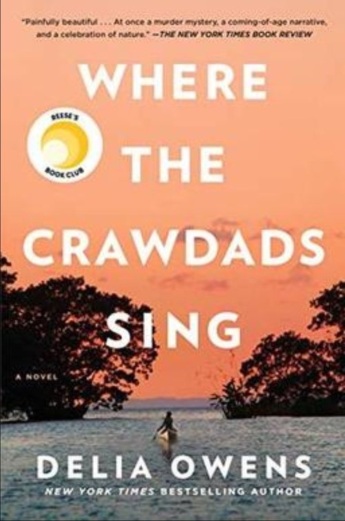 Where the Crawdads Sing movie poster player