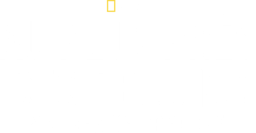Au plus près des requins avec Bertie Gregory