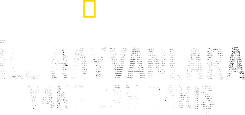 Animals Up Close with Bertie Gregory logo