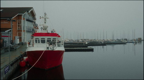 Caught in the net — Backdrops 13