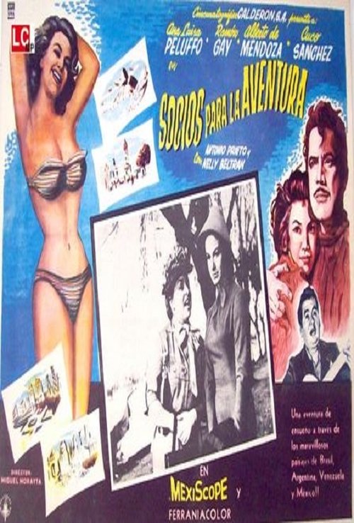 Socios para la aventura movie poster player