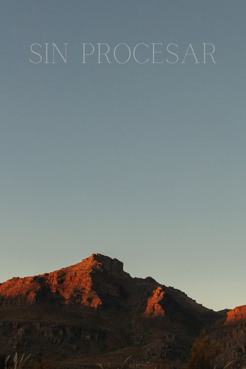 Sin Procesar film afişi