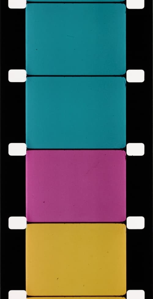 Analytical Studies I: The Film Frame (1976)