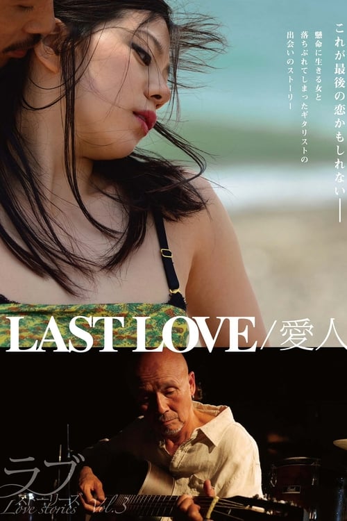 LAST LOVE / 愛人 (2014)