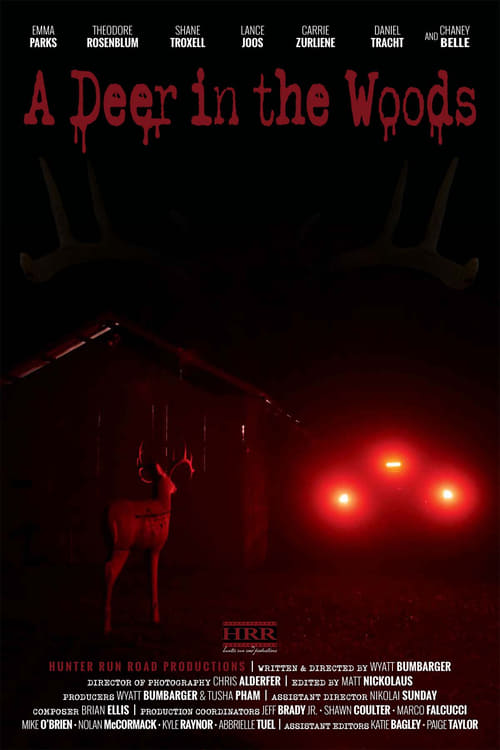 Watch A Deer in the Woods Online Vidzi