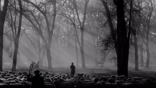 Image 26