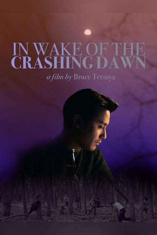 In Wake of the Crashing Dawn (2020) poster