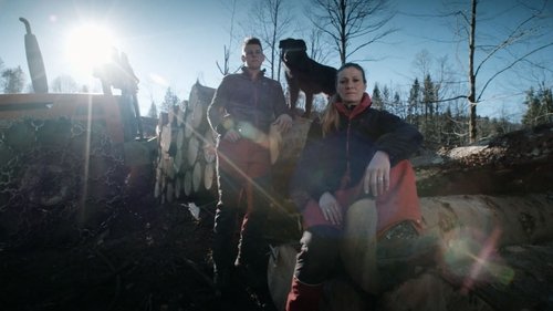 Poster della serie Undercut: l'oro di legno