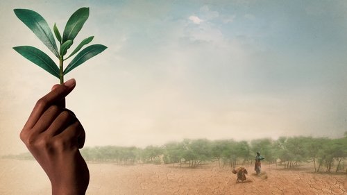 The Great Green Wall The Great Green Wall