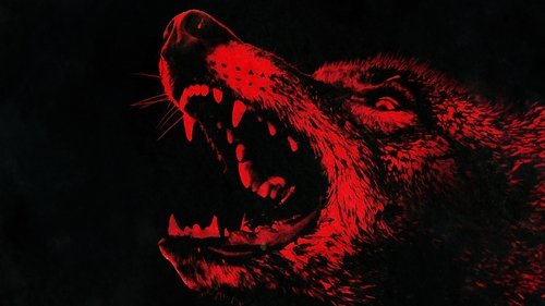 Coyotes