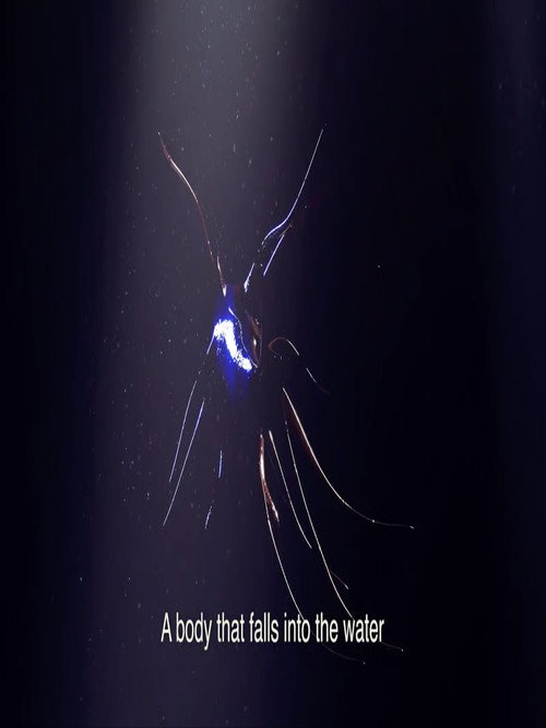 ​As they were drifting away, their bodies turned into waves