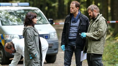 Image de l'épisode 13