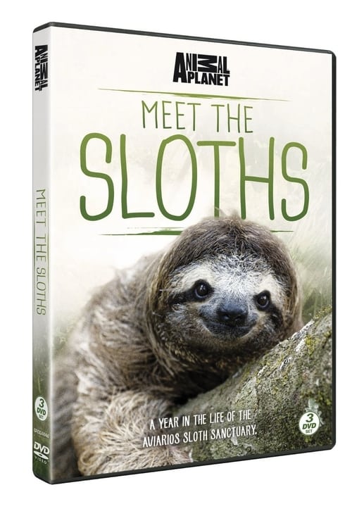 Where to stream Meet the Sloths Season 1