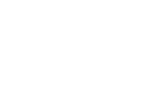 Su más fiel amigo