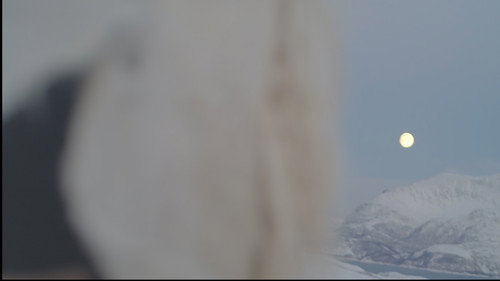 Ullguden Backdrop Blur