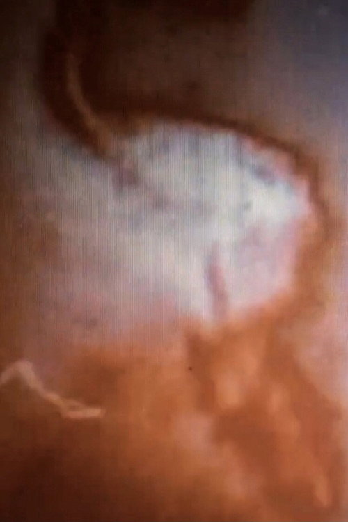 DREAM GENERATION EIGHT