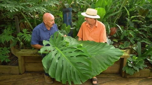 Gardening Australia, S30E17 - (2019)