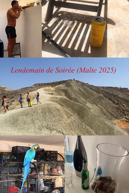 Lendemain de Soirée (Malte 2025)