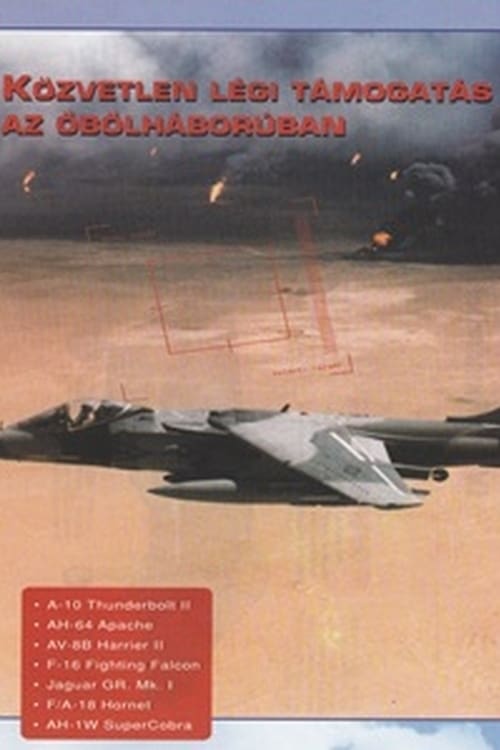Combat in the Air - Close Air Support in the Gulf (1996)