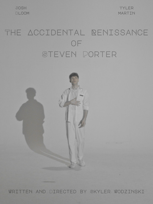 Affiche du film The Accidental Renaissance of Steven Porter
