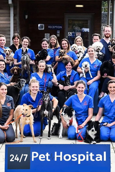 Escena 4 de 24/7 Pet Hospital